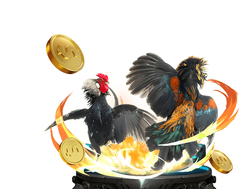 Hướng dẫn tham gia đá gà trực tuyến tại 6789casino